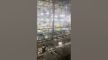 Explore Automation in Action: A Modern Poultry Slaughterhouse Tour