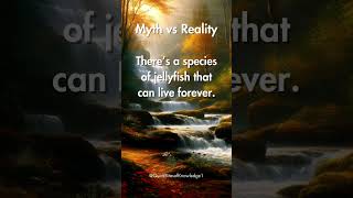 Myth vs Reality