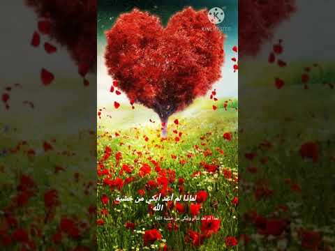 لماذا لم اعد ابكى من خشيت