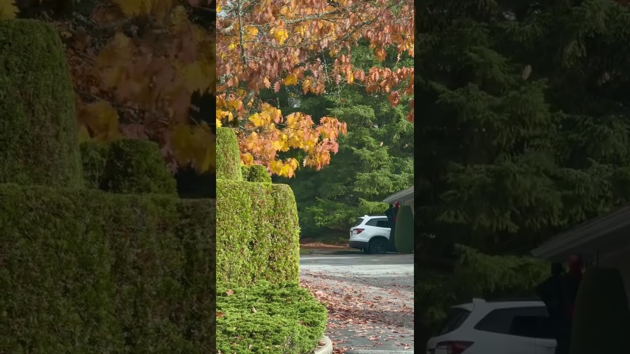 Fall in Vancouver, BC, Canada 