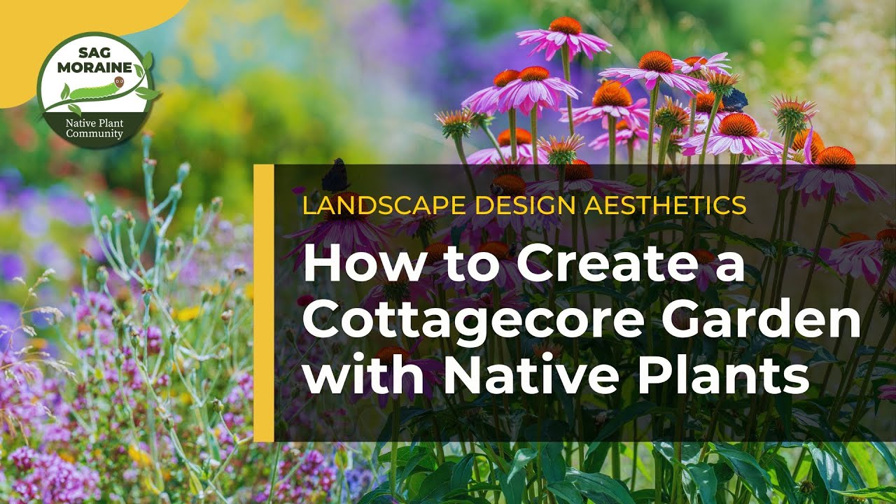 How to Create a Cottagecore Garden with Native Plants - YouTube