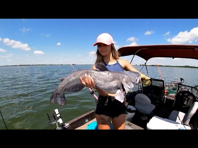 abu garcia catfish reels texas fishing forum REEL C3 SPECIAL ROUND BAITCAST Richland Chambers Bait and Tackle The synchronized level wind system ensures even line lay and a smooth retrieve For Life: The Abu Garcia