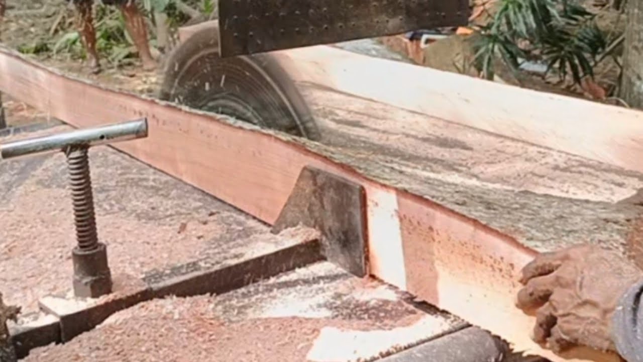 Cara Tukang  Mengolah Mengolah Kayu Dengan Gergaji Bundar 