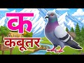 क से कबूतर, अ से अनार a se anaar k se kabutar I Hindi varnmala I ABCD क से कबूतर अ से अनार, for kids