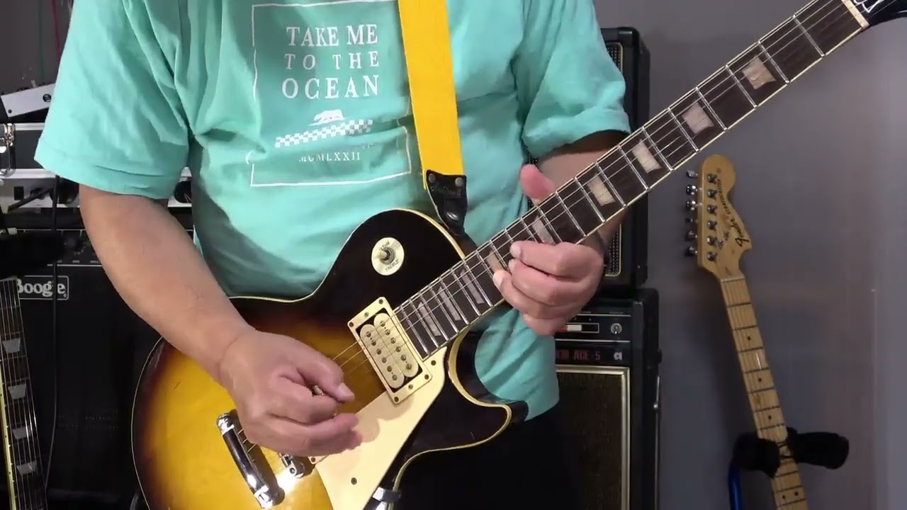 kissy's Guitar Collections】Aria Pro II Leopard LS-400 1980 [M.I.J