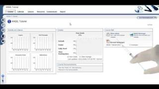 ANGEL's Course Tabs