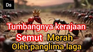 Takluknya kerajaan semut merah di tangan panglima laga