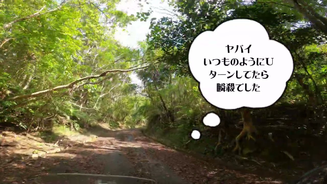 沖縄バイク【スーパー舗装林道】Oｒ快適ロードツーリング　半日コース  やんばる林道を西から東へ林道三昧④