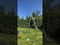 Ořez vršku živého plotu z Habru