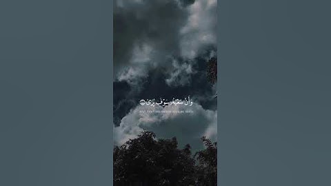 سورة النجم #قران_كريم #اكسبلور #دويتو #الرحمن #حالات_واتس #duet #راحة_نفسية #تيك_توك