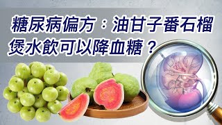 229.糖尿病偏方﹕油甘子番石榴煲水飲可以降血糖？ 