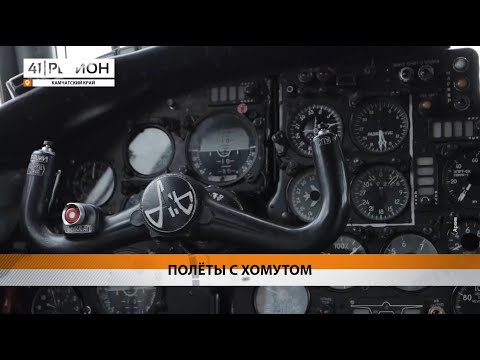 Новости Камчатки за 19 ноября 2024 года