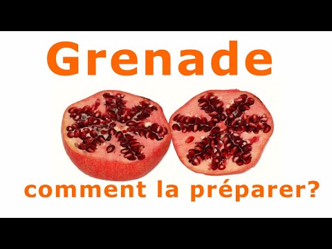 Vidéo: Comment Choisir La Bonne Grenade