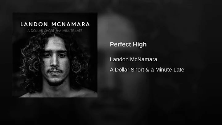 Landon Mcnamara - Perfect High