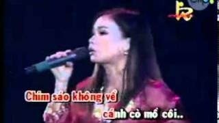 Xem video clip Chim tr ng m c i Video h p d n Clip hot Baamboo com
