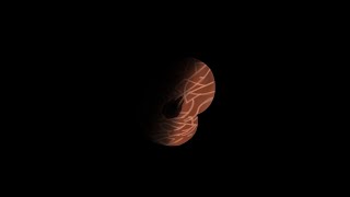 Crusader Probe Mission, but the Iris made Abiogenesis in this Video.