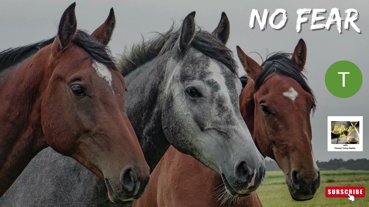 Encouraging Clip: No Fear