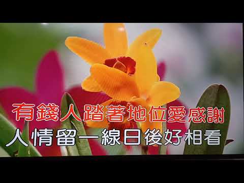 魂是英雄錢是膽 翻唱 吳嬿苹 謝謝訂閱💞