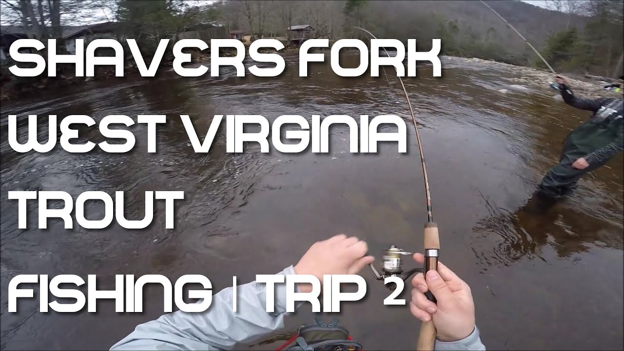 Shavers Fork WV Trout Fishing Trip 2 March 12 2016 YouTube