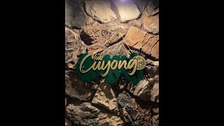 Laser cut sign in 15 seconds on FabLight