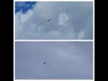 Airbus Helicopter AS355 buzzing about throughout the day near my house. #airbushelicopter #shorts