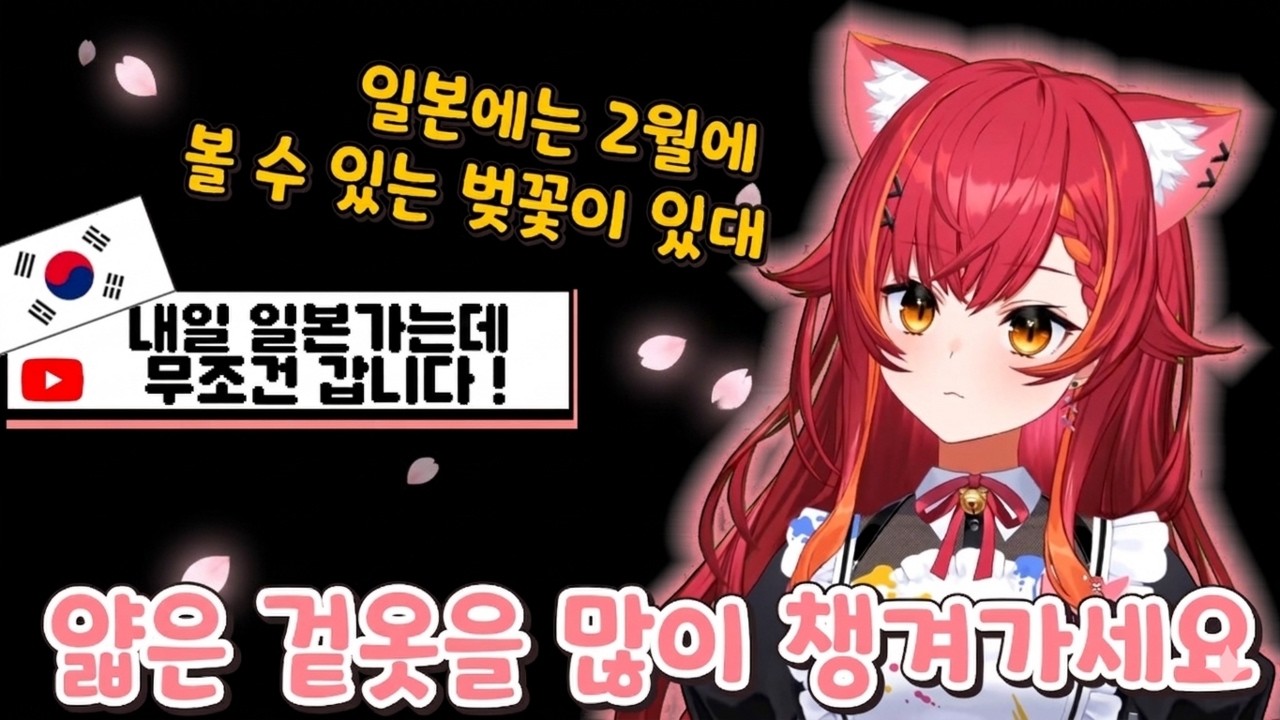 여행 후기 말하다가 기습 한국어 해주는 네코타츠【브이스포/네코타 츠나】