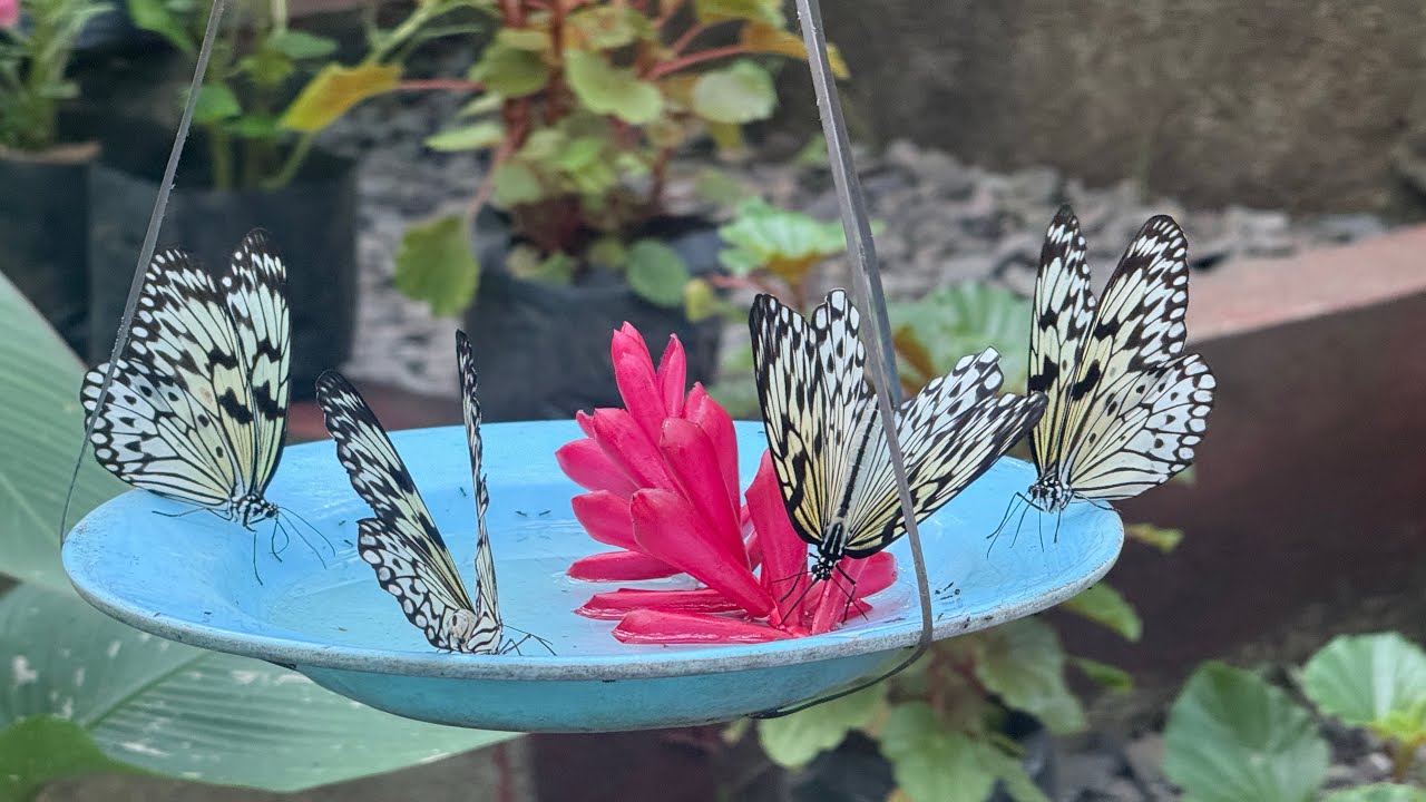 Sarap magpasyal sa sariling atin.. The Eco Park La Mesa Manila.