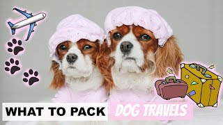 WHAT TO PACK FOR DOG TRAVEL | Travel Essentials for Pets