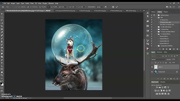 How To Use The Reindeer Globe Digital Backdrop