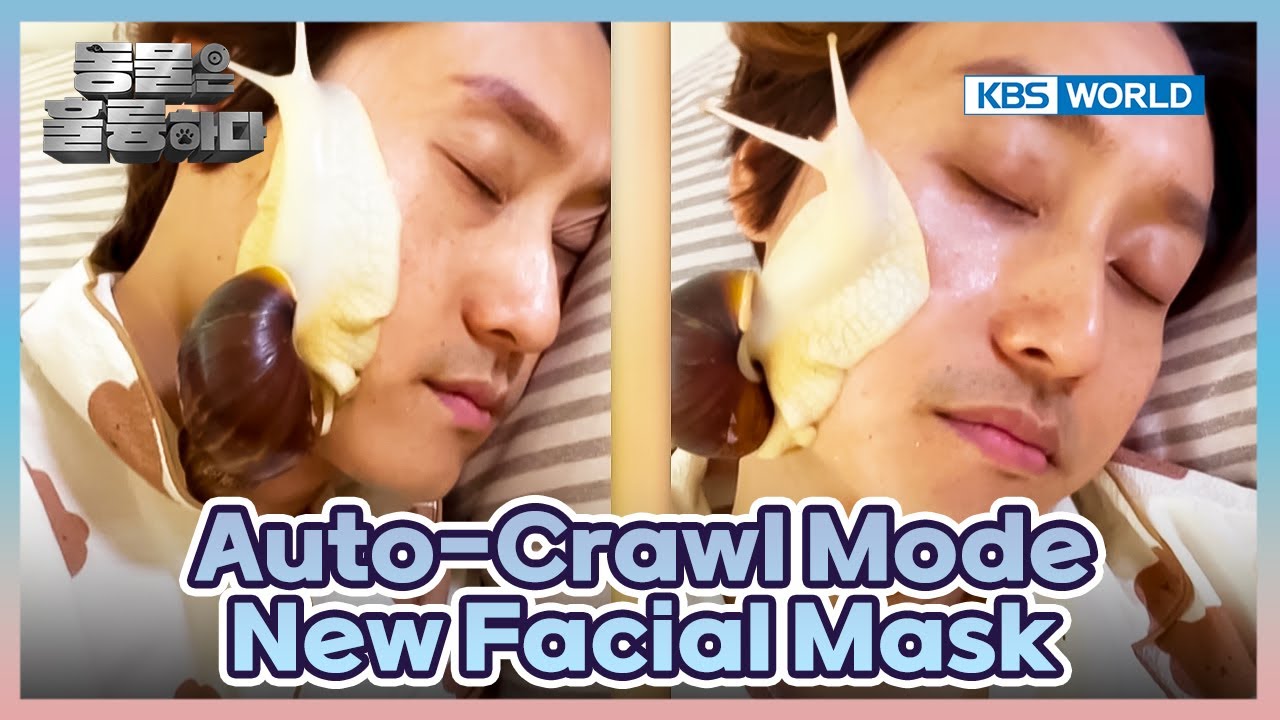 Unique Animal Friends😮 [Animals Are Incredible : EP.17-1] | KBS WORLD TV 250423