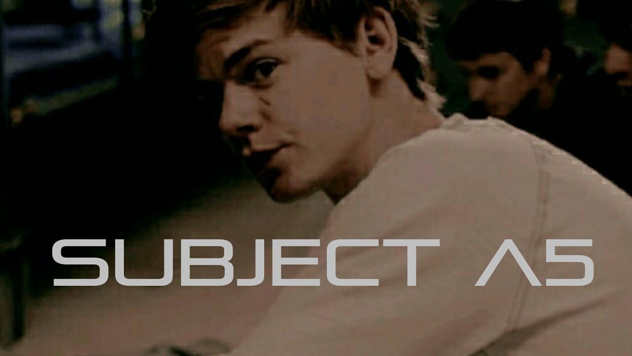 Subject A5 Newt Fanfiction / The Maze Runner YouTube