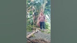 Ano kaya yon? Para ma popo kuta ako may bigla man ruminabas 🤣😂😁