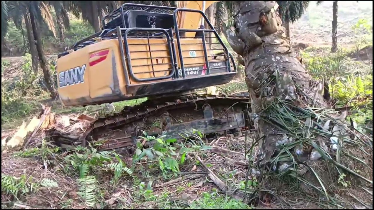 EXCAVATOR SANY SY 135 F...!! TUMBANG &CHIPPING