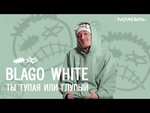 Разжевать: blago white - ТЫ ТУПАЯ ИЛИ ГЛУПЫЙ | Разбор текста