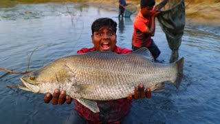 குட்டையை குழப்பி கொடுவாய் மீன் வேட்டை|Bass Fish Hunting|Village Hunting|Village Food Safari