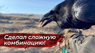 Новая Способность У Гоши! Подснежники И Свободные Полеты На Прогулке.