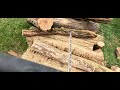 STIHL MS 251 favágás 2