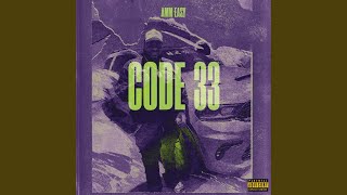 CODE 33