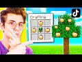 PROVO I TIK TOK PIU' VIRALI al MONDO su MINECRAFT ITA! (Ep.55)