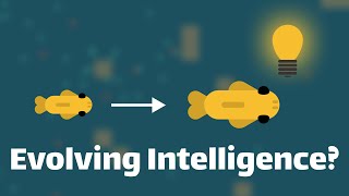 Information Evolving Intelligence in a Simulation - How does it happen News