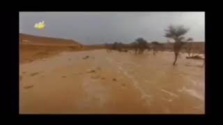 شيلة المجمعه