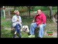 Trasmissione Cani Gatti & Co: Dogo del bianco manto - 13.05.2017