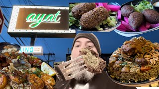 Palestinian food galore! @ AYAT in Staten Island, NY