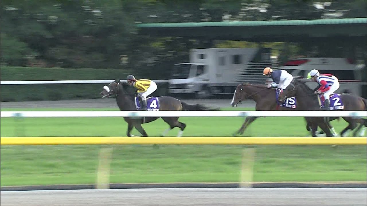 坂*井様 レア品 Japan Cup 2010 JRA 30周年記念ブルゾン 競 2010 Japan Cup (G1) | JRA Official - YouTube