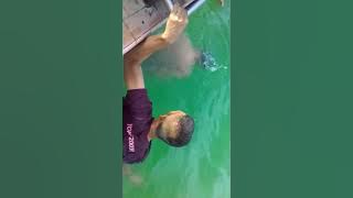 Skill Renang yang luar biasa Koptu Ari Negeri Kepayungan Pubian Lampung Tengah Lampung