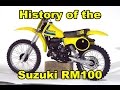History of the Suzuki RM100 1976-2003 / DirtBikeDudeZ