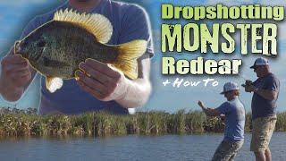 Giant Redear Lakes!!! How to Dropshot Giant Redear, Bass, and Bluegill with a worm.
