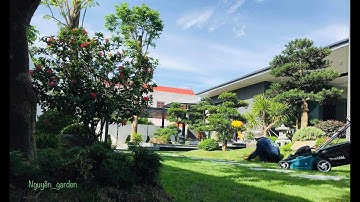 Thiết kế, thi công cảnh quan sân vườn nhà Mr. Quang - Nguyễn Garden