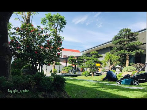 Video Thiết kế, thi công cảnh quan sân vườn nhà Mr. Quang -... - youtube
