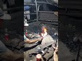 Highlight live